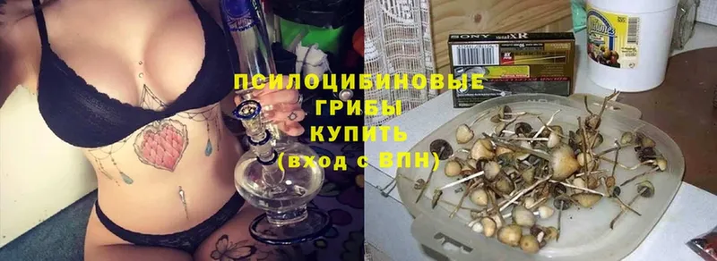 закладки  Болотное  Псилоцибиновые грибы Magic Shrooms 